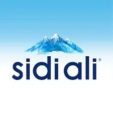 Sidi Ali 50 cl
